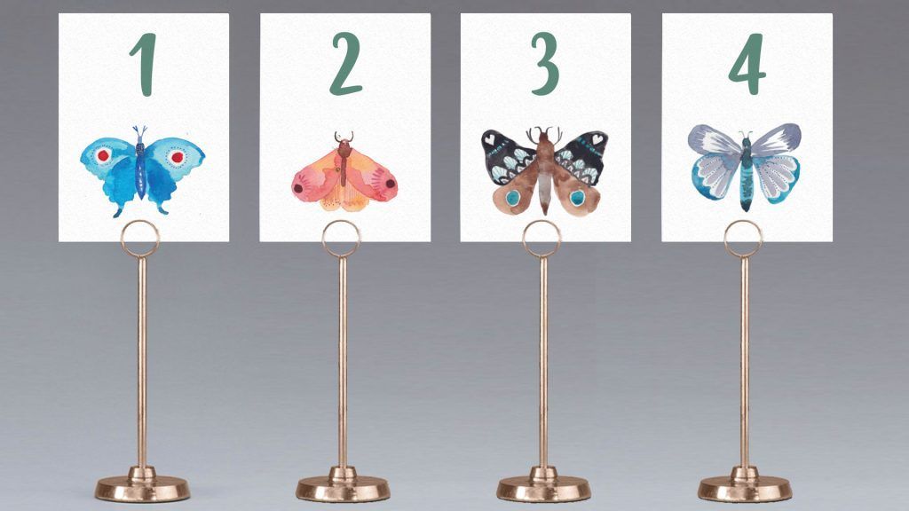 meseros mariposas
