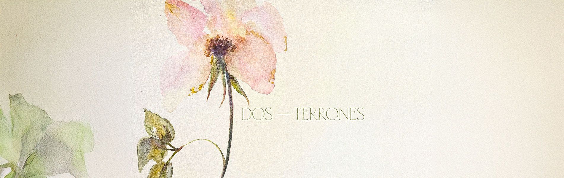 Fondo contacto papelería de boda personalizada